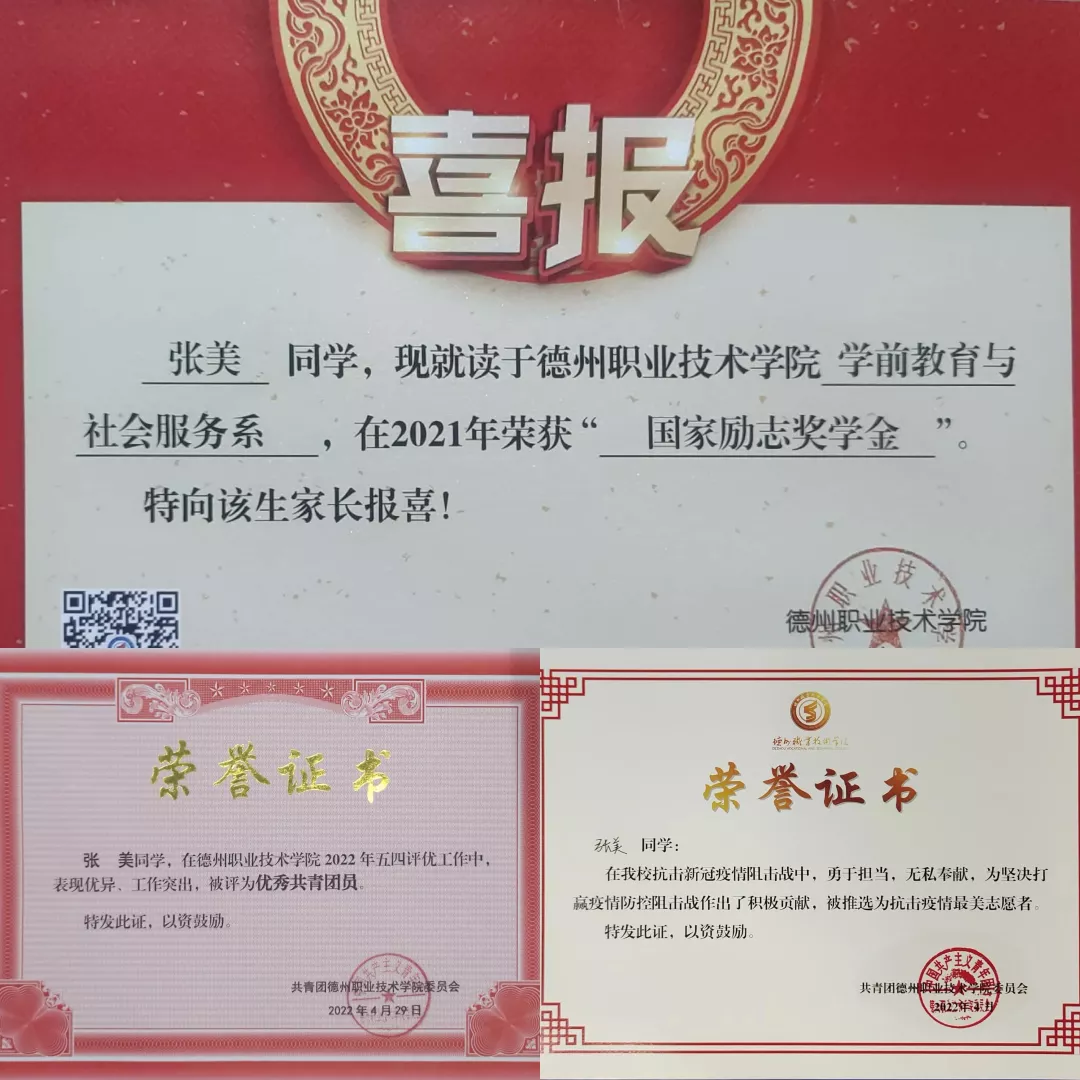 D5241